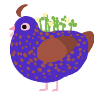 海亀, a indigo and russet chicken with a speckle pattern