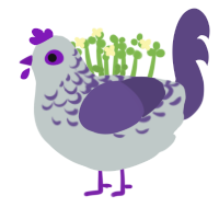 Loigi, a silver and overcast chicken with a half-lace pattern