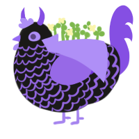 crow, a sable and blurple chicken with a lace pattern