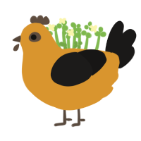 N, a orange and sable chicken