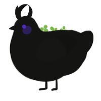 Pandemonium, a black chicken