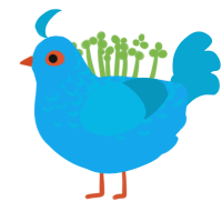 puddle, a sky and cerulean chicken with a half-lace pattern