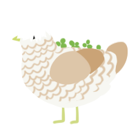 Tiramisu Jr, a white and beige chicken with a lace pattern