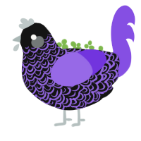 Blight, a black and blurple chicken with a double-lace pattern