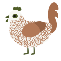 A white and brown chicken with a double-lace pattern