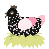 A black and rose chicken with a speckle pattern
