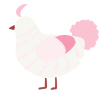A white and rose chicken with a bar pattern