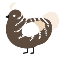 A bark and cream chicken with a half-bar pattern