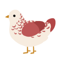 A cream and red chicken with a half-lace pattern