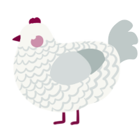 A white and silver chicken with a lace pattern