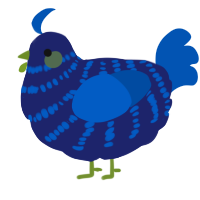 A navy and ultramarine chicken with a bar pattern