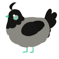 A ash and black chicken with a head pattern
