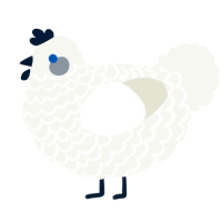 A white chicken with a lace pattern