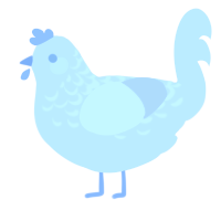 A white chicken with a half-lace pattern