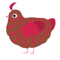 A russet and crimson chicken with a bar pattern