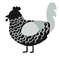 A sable and silver chicken with a lace pattern