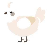 A cream chicken with a head pattern