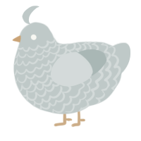 A silver chicken with a lace pattern