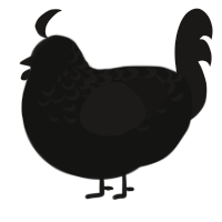 A black and sable chicken with a half-lace pattern