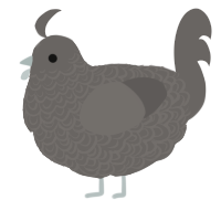 A grey chicken with a double-lace pattern