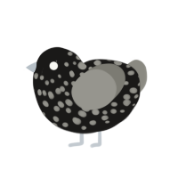 Mysterious ailment, a sable and ash chicken with a speckle pattern