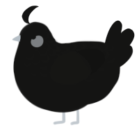 A black chicken with a half-lace pattern