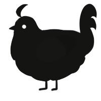 A black chicken