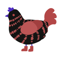 Mars, a black and red chicken with a bar pattern