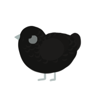 christmas charcoal, a black and sable chicken with a half-lace pattern