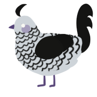 A mist and black chicken with a lace pattern