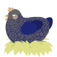 A grey and navy chicken with a double-lace pattern