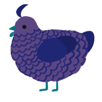 A overcast and navy chicken with a lace pattern