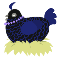 A black and navy chicken with a lace pattern
