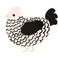 A cream and sable chicken with a lace pattern