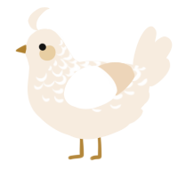 A cream chicken with a half-lace pattern