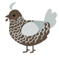 A bark and silver chicken with a lace pattern
