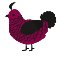 A maroon and sable chicken with a lace pattern