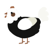 A black and white chicken with a head pattern