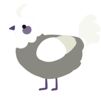 A ash and white chicken with a head pattern