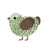 mint, a gluppy and bark chicken with a lace pattern