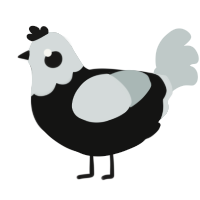 A black and silver chicken with a head pattern