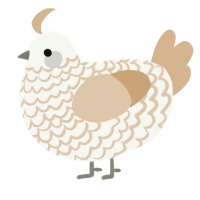 A white and beige chicken with a lace pattern