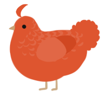 A vermilion chicken with a half-lace pattern