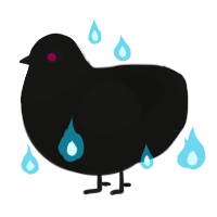 A black chicken with a head pattern