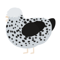 A mist and sable chicken with a speckle pattern