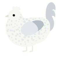 A white and mist chicken with a speckle pattern