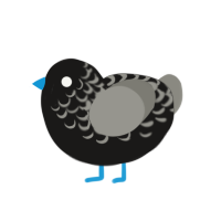 (unnamed), a sable and ash chicken with a half-lace pattern