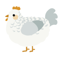 A white and silver chicken with a half-lace pattern