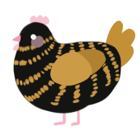 A black and gold chicken with a bar pattern