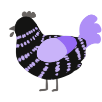 A black and lilac chicken with a bar pattern